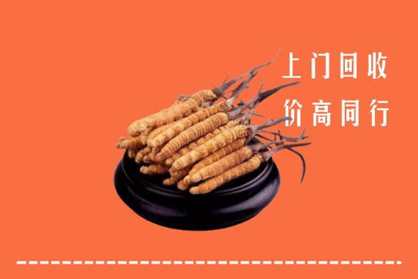 高价求购：济宁梁山回收散虫草