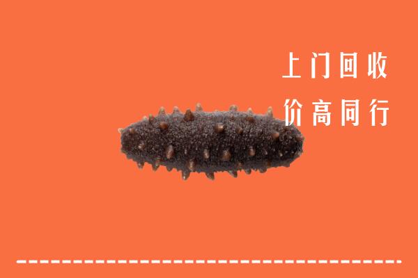 高价求购：济宁梁山回收海参