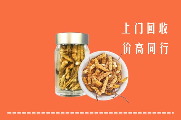 济宁梁山回收冬虫夏草